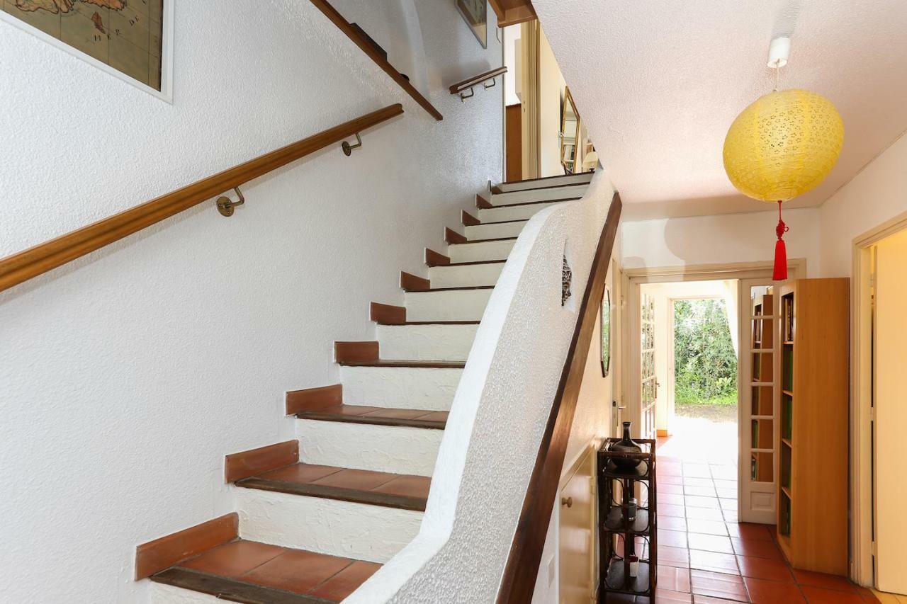 Suquette Charming Provencal House In Antibes With Nice Terrace, Garden And Pool Access Εξωτερικό φωτογραφία